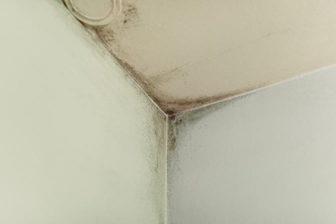 eviter infiltrations facades avec PS Recherche de Fuites
