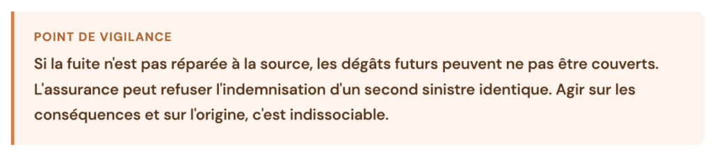 comment fonctionne l'indemnisation degat des eaux
