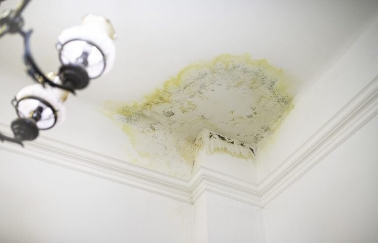 fuite eau plafond et mur que faire