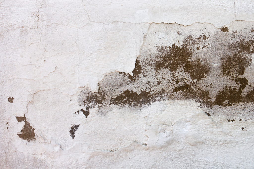 inflitration eau ou probleme de condensation